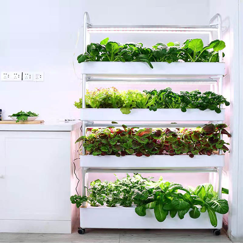 ydroponic plantsysteem Smart H - Diy Home Automation System recensie en prijs