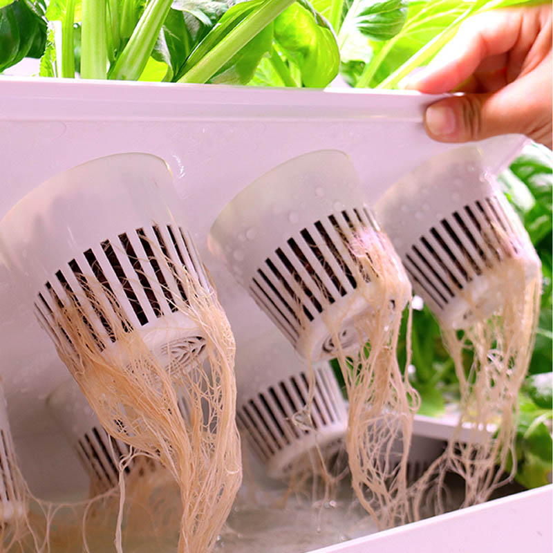 ydroponic plantsysteem Smart H - Diy Home Automation System recensie en prijs