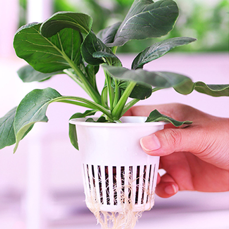 ydroponic plantsysteem Smart H - Diy Home Automation System recensie en prijs
